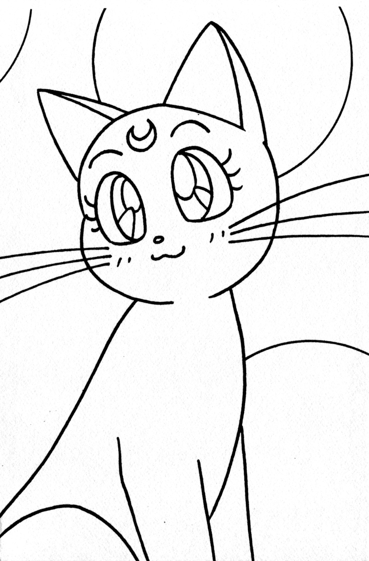 Кошки аниме раскраска Кошки аниме раскраска